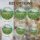 duiyfppz/products/6a27b871ba3ba36b883d9bb6/gallery/G4BpCT53EH