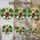 duiyfppz/products/6a27baac0b5ba68d0b0b4287/gallery/W-_r0QpT32