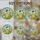 duiyfppz/products/6a27bb3074ef85b5393b302f/gallery/DdIUY66uE0