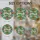 duiyfppz/products/6a27c0530b5ba66e330b5522/gallery/D05nC1AESe