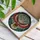 duiyfppz/products/6a27c23574ef8509b13b4286/gallery/Cxws5j1sUo