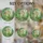 duiyfppz/products/6a27c27c74ef859d763b434d/gallery/2yUadSW4qq