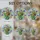 duiyfppz/products/6a27c315ba3ba3e8be3dbfc1/gallery/oU17js_vC9
