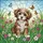 duiyfppz/products/6a27c5d50b5ba681c70b646e/gallery/KMC48uyiTE