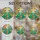 duiyfppz/products/6a27c6412e7cca1e623fc4c8/gallery/CGkrvDedYv