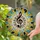 duiyfppz/products/6a27c6ef74ef856b3b3b5186/gallery/vM9GQrkl8E