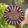 duiyfppz/products/6a27c7672e7ccaed1c3fc7e5/gallery/9Bj7Mh37Nz