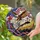 duiyfppz/products/6a27c7b60b5ba6d6ea0b6863/gallery/mNr03ZwQZG