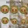 duiyfppz/products/6a27cd2dba3ba36d263de388/gallery/5l5PxVfSXH