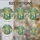duiyfppz/products/6a27cec174ef85c45d3b70ba/gallery/1Dv2NwaBmX