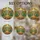 duiyfppz/products/6a27cf15ba3ba309953deae3/gallery/2gL9maNi_G