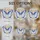 duiyfppz/products/6a27cfa774ef8535593b73a7/gallery/ARAFwYyvKn