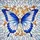 duiyfppz/products/6a27cfa774ef8535593b73a7/gallery/DF-Wf0cVoB