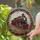duiyfppz/products/6a27d024ba3ba300aa3dedb9/gallery/-fu-py5SzM