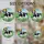 duiyfppz/products/6a27d1040b5ba6c8030b8731/gallery/Yp2u7JgKpl