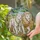 White Lion Lioness Golden Wreath Walking - Wildlife Lover Home Decor Gift Stained Glass Suncatcher - 2