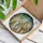 White Lion Lioness Golden Wreath Walking - Wildlife Lover Home Decor Gift Stained Glass Suncatcher - 3