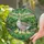 Greylag Goose Ducklings - Home Decor Gift for Nature Lover Stained Glass Suncatcher - 2