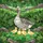 Greylag Goose Ducklings - Home Decor Gift for Nature Lover Stained Glass Suncatcher - 5