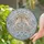 duiyfppz/products/6a2a5b91361f8181e9a9c1a6/gallery/6oc-MahOm9