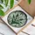 duiyfppz/products/6a2a5d60361f81835aa9c867/gallery/4mhH2fE1MM