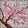 duiyfppz/products/6a2a5d74e3c5f1a4885cf01d/gallery/oCxJENFhv4