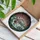 duiyfppz/products/6a2a5e3be3c5f104a55cf20a/gallery/OJXBrUgi_m