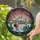 duiyfppz/products/6a2a5e3be3c5f104a55cf20a/gallery/yac8CcqcOE