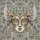 duiyfppz/products/6a2a5f9c12a373ea89fd063f/gallery/_M2PHHjhUx