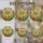 duiyfppz/products/6a2a602412a3736fcffd0806/gallery/2I8G5Nunl0