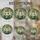 duiyfppz/products/6a2a60d6322f1163a35b22e0/gallery/svK4Eg44ZP