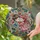 duiyfppz/products/6a2a6318e3c5f1819e5d0396/gallery/nzshQxPiEh