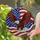 duiyfppz/products/6a2a6448e3c5f141a55d05d9/gallery/WB-C7XCOg8