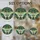 duiyfppz/products/6a2a6708322f11a2a85b34c0/gallery/MCBX8OutY2
