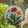 duiyfppz/products/6a2a6821e3c5f14b235d0c9c/gallery/8te6rb9mOm