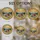 duiyfppz/products/6a2a6b215b689ade7eaccb1a/gallery/qhnXur9wSA
