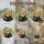 duiyfppz/products/6a2a6ceffc8d6b31ff5d8f53/gallery/OzBzjJk_3q