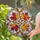 duiyfppz/products/6a2a6dd55b689a124eacd02f/gallery/lmlJpWSm3Q