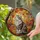 duiyfppz/products/6a2a6f29e784e4050567fb33/gallery/HSq_lB3D26