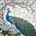 duiyfppz/products/6a2a7181e784e4d9b4680167/gallery/SHl8mV5_i3