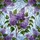 duiyfppz/products/6a2a727530fd261bdd129d8e/gallery/tlnAeclO_e