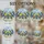 duiyfppz/products/6a2a72d2e3c5f1749b5d2128/gallery/g6ZbJ-I55w