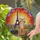 duiyfppz/products/6a2a738759c78530918ec8b7/gallery/GZZARbE5Dc