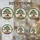 duiyfppz/products/6a2a73c930fd2670f012a000/gallery/sx1DfEFafp