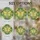 duiyfppz/products/6a2a761930fd26ff6012ac81/gallery/sXvBNEMNiE