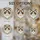 duiyfppz/products/6a2a76a10b1bbf68e19dea4f/gallery/pFCp2RBXXR