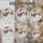 duiyfppz/products/6a2a76c4e784e49262680c56/gallery/TsbFJoqtgK