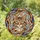 duiyfppz/products/6a2a77414ecb3f1f2f372434/gallery/QDWLs5fNr-