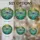 duiyfppz/products/6a2a780030fd267be812b00a/gallery/i9o5fAVvbp