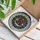 duiyfppz/products/6a2a7ab4e784e4e4bc6812cb/gallery/MXtKp4X5X5
